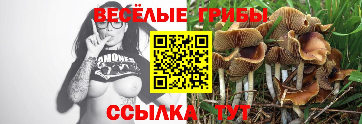 Кыштым  где продают наркотики  Вход с VPN  Галлюциногенные грибы прущие грибы 